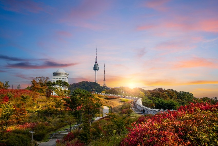 South Korea’s Travel & Tourism Sector Set to Reach New Heights in 2024