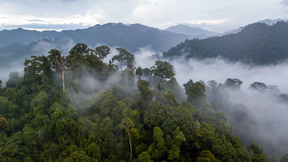 WTTC Unveils World-First Global Travel & Tourism Climate Footprint Data